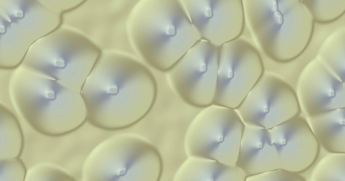 Screenshot of Cell Soul: Organic atmospheric cell generator. Cellular structures emerge and evolve — a meditative visualization of reaction-diffusion and Voronoi-based morphogenesis.