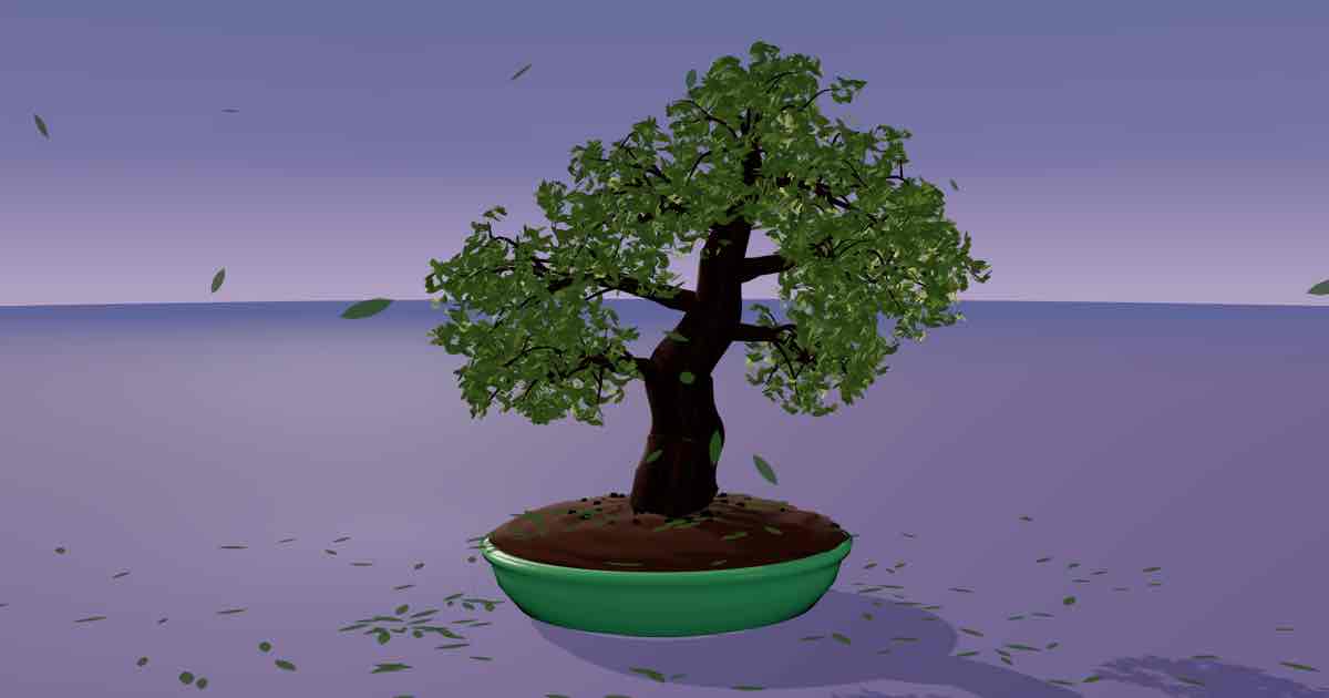 Screenshot of Virtual Bonsai: Grow a 3D bonsai tree in your browser. 11 species across sakura, juniper, pine, maple, elm and ficus, with full pot and scene color to save as a free wallpaper.